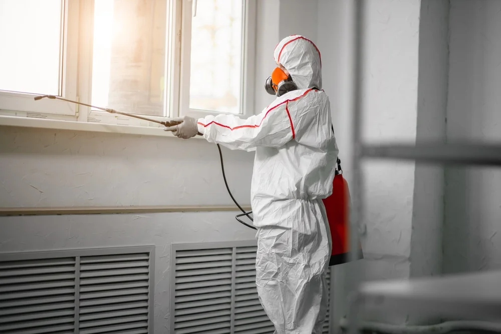 Professional mold remediation services in Old Bridge, NJ